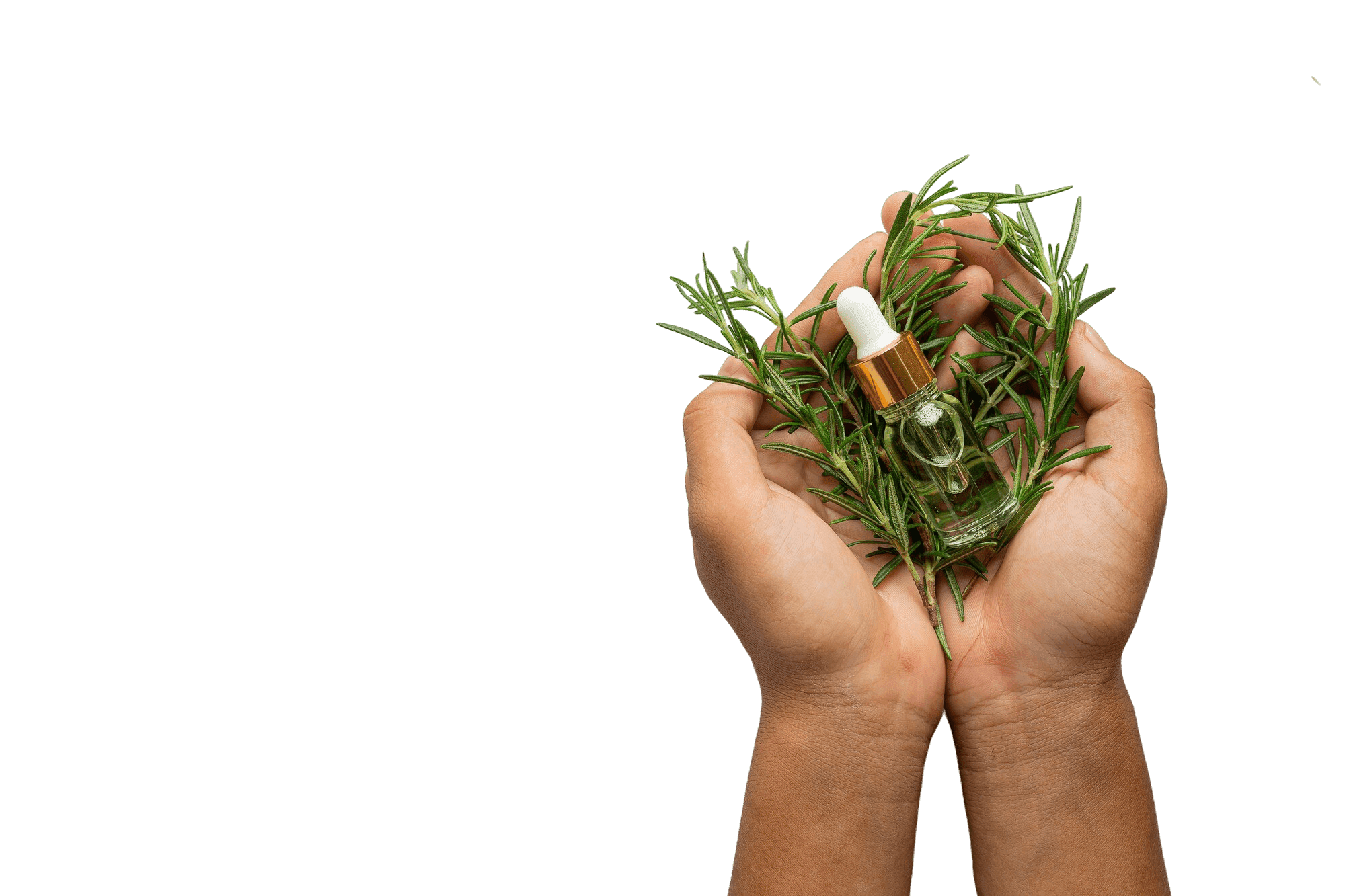 Rosemary matched the #1 hair loss drug.