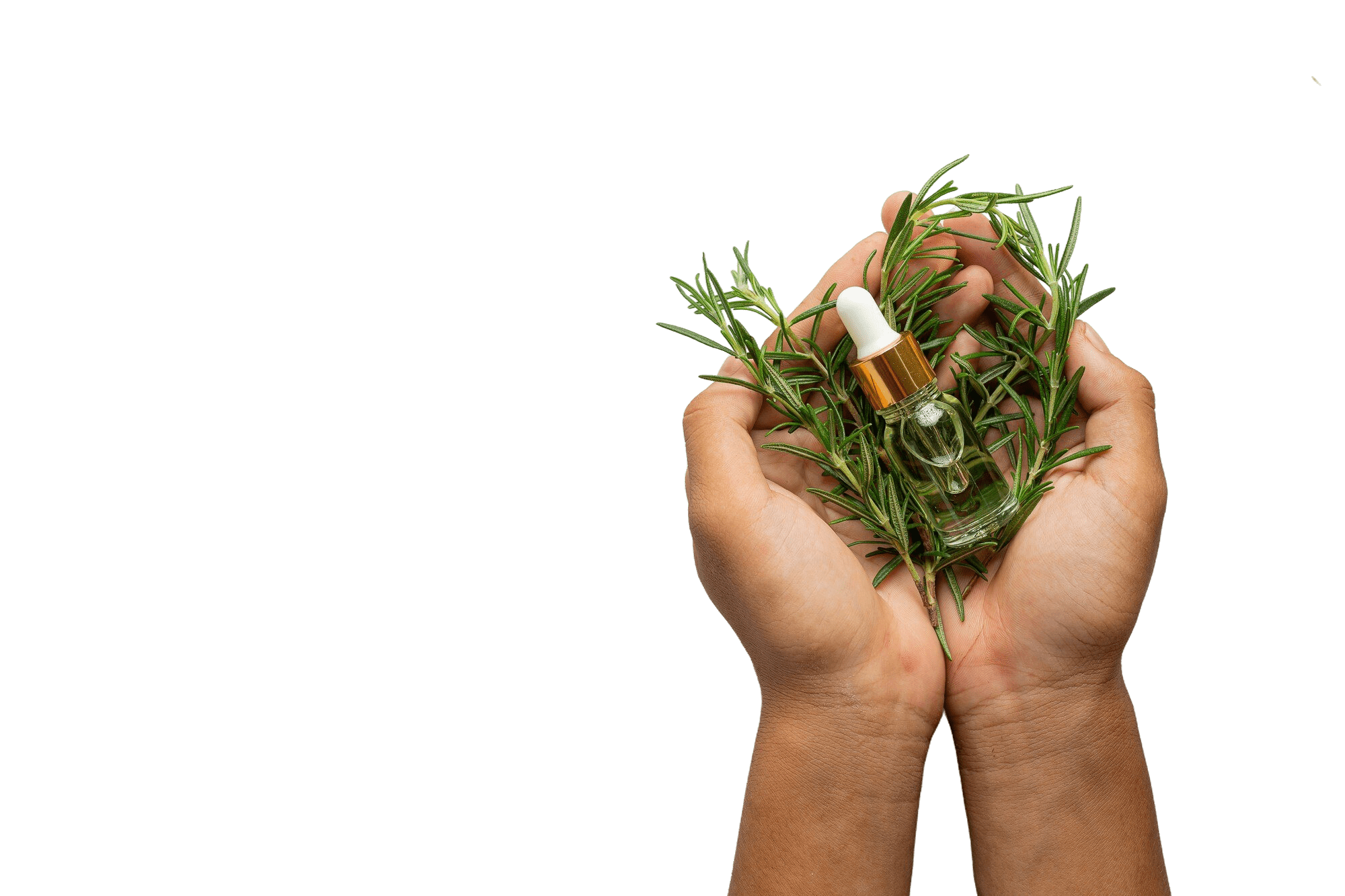 Hair Growth — Rosemary Oil